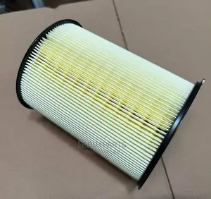Ford Escape Air Filter (2013)