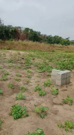 600 SQM Residential Land for Sale in Ibeju Lagos