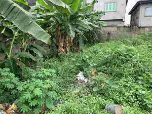 Estate Land for Sale