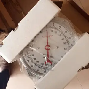 100 Kg Hanging Scale Original Camry