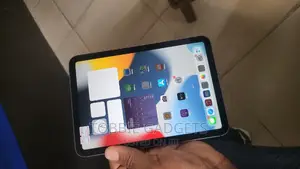 Apple iPad mini (2021) 64 GB Gray