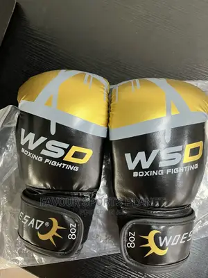 Quality Professional Boxing Gloves