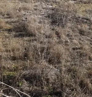 Half Plot of Land Fence With Gate at Nelson Cole Estate