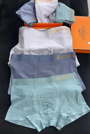  Hermes High Quality Undies FULL SET