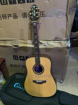 Quality Crafter DX 10 SR Premium Acoustic Guitar