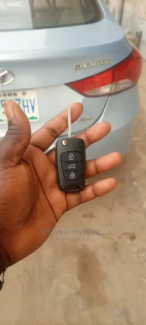 Key Programming and Brain Box and Adjustment of Millage