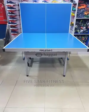 Haggai Aluminum Outdoor Tennis Table