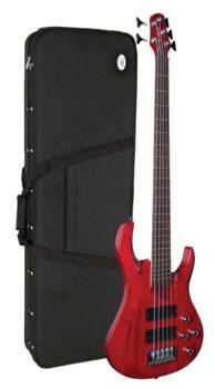 Electric Guitars for Sale