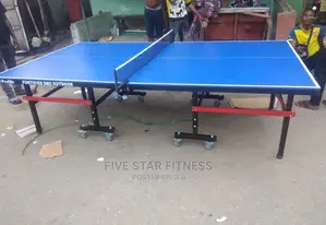 SMC Outdoor Tennis Table {Water Resistance}