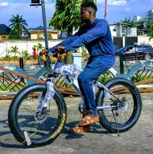 Original Fat Tyre Bike
