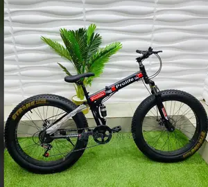 Profile Foldable Fat Tyre Bike