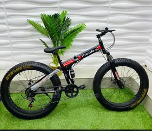 Foldable Fat Tyre Bike