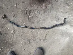 Back Stabilizer Rod Ford Escape
