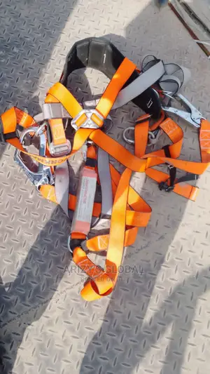 Full Body Harness Belt
