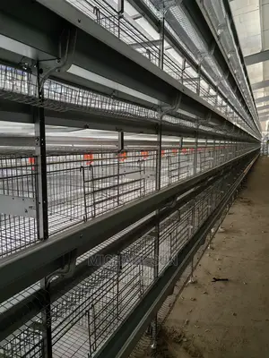 Imported Layer Battery Cage