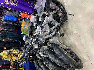 Amazing Fat Tyre Bicycle F524