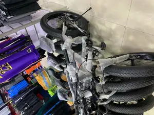 Nice Fat Tyre Bicycle B006
