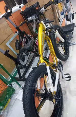 Original BMW Bike