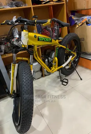 Original Fat Tire Mountain Bike