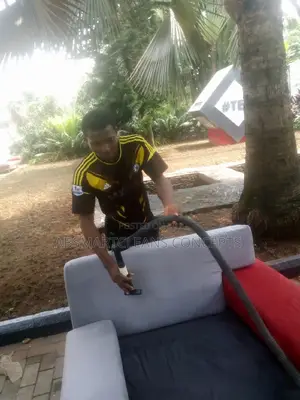 Sofa Cleaner
