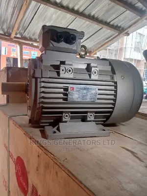 5.5horse Power Normal Speed Electric Motor. 100% Copper Coil