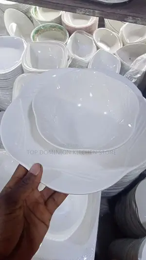Unbreakable Flat Plate and Soup Plate(12pcs)