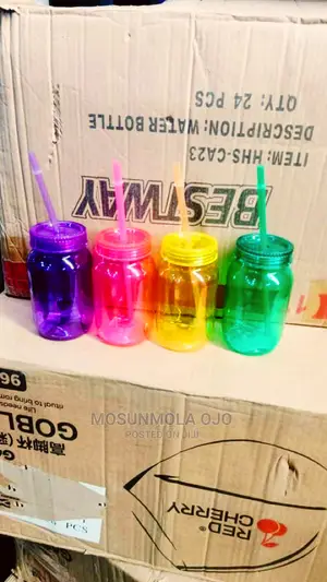 Single Plastic Mason Jar With Stray