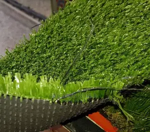 Deep Green Grass