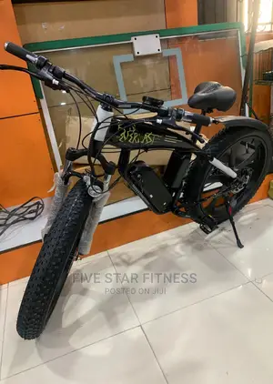 E-Bike {Electric Bicycle}