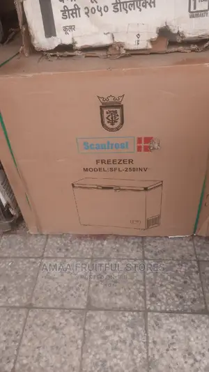 Scanfrost 250m Freezer