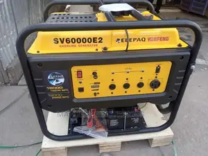 15kva Elepaq Two Cylinder Yaofeng Petrol Generator 100%