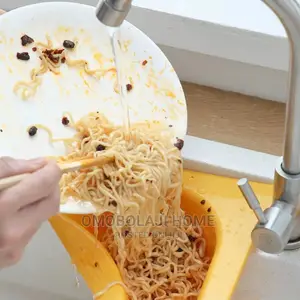 Sink Sieve