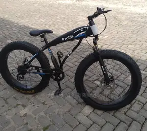 VIP Profile Fat Tyre Bike