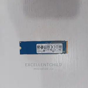 System Storage (256gb M.2 Nvme Laptop)