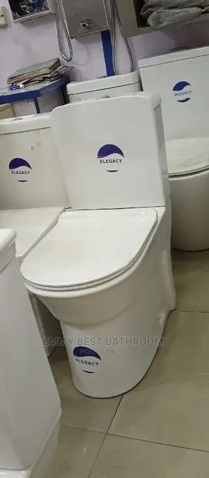 None Common WC Set With The Wash Hand Basin