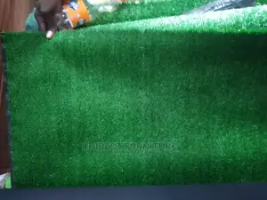 Quality Imported Carpet Grass for Indoor and Outdoor Use