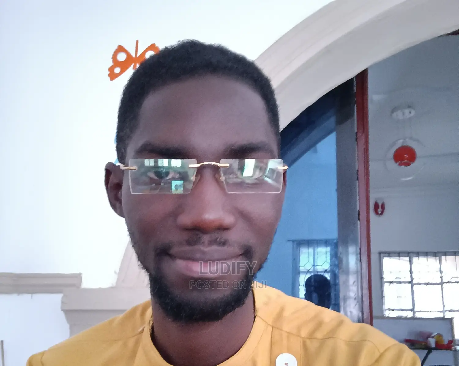 Wordpress Web-Developer