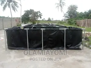 Affordable Fish Pond (Pay on Delivery)