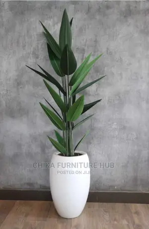 Quality Interior Flower