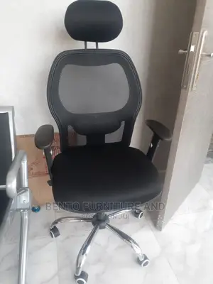 Ergonomics Mesh Chair