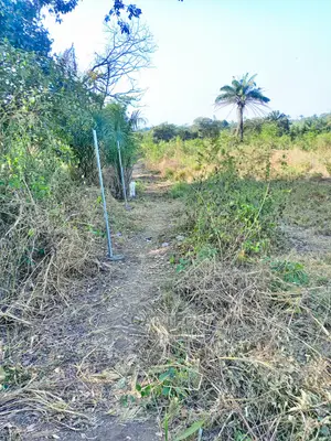 Chain Link Security Fencing