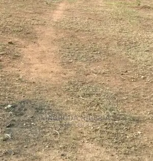 Half Plot of Land at Nelson Cole Estate