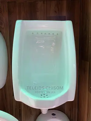 Urinary Bowl