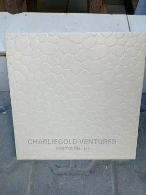 30x30 Toilet Floor Tiles