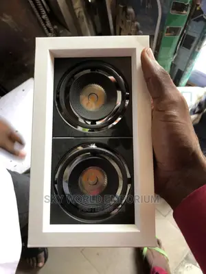 Double Head Opening Recessed Down Light