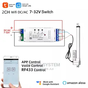 2ch Wi-Fi Smart Relay Module