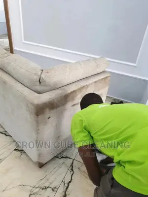 Couch Sofa Cleaning Cleaning Services