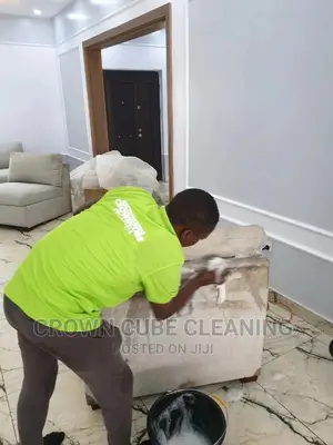 Sofa Cleaning and Rug