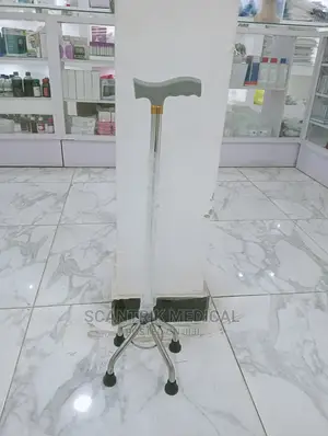 Portable Quadripod Walking Stick