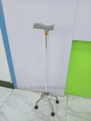 Walking Stick With Offset Handle